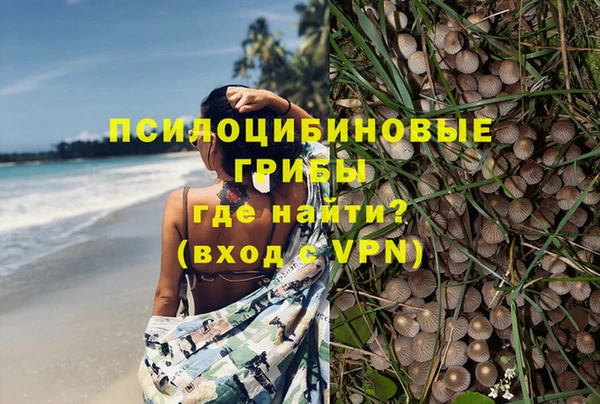 первитин Лиски