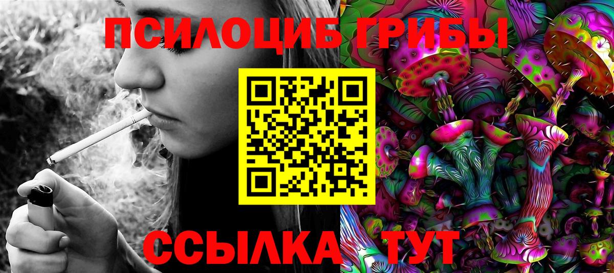 Пермь  Галлюциногенные грибы прущие грибы  Вход с VPN 
